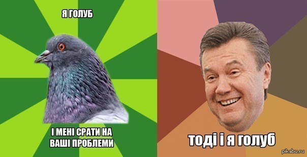 Тогда ладно   Украина, Голубь, Янукович