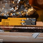 дом-пшонки--музей-коррупции269