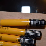 дом-пшонки--музей-коррупции271