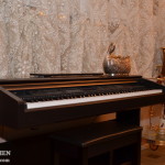 дом-пшонки--музей-коррупции77