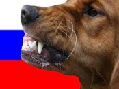 бешеная-собака-россия